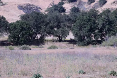 DSC_2063 (Large).JPG